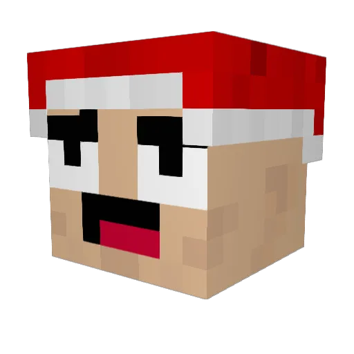 Markw6 Minecraft avatar head, 3D render
