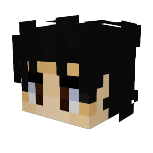Marlin0ut0fWater Minecraft avatar head, 3D render