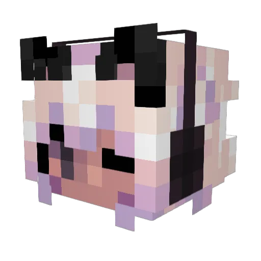 Marlinok Minecraft avatar head, 3D render