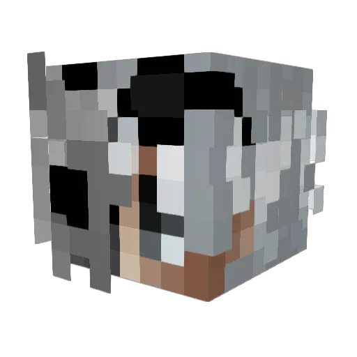 MarmaJunior Minecraft avatar head, 3D render