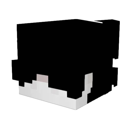 Marmitekiz Minecraft avatar head, 3D render