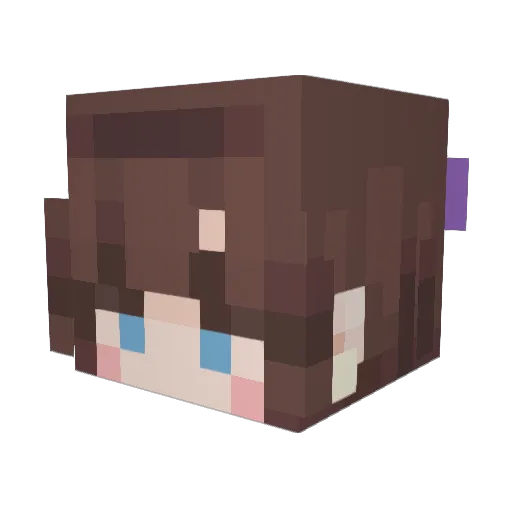 Marmorata Minecraft avatar head, 3D render