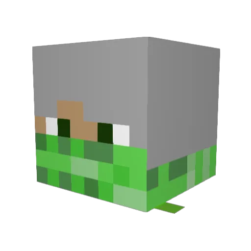 Marmot12 Minecraft avatar head, 3D render