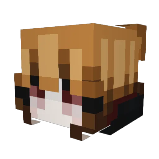 Marnikula Minecraft avatar head, 3D render