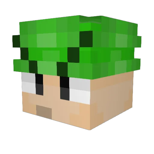 Maro1221 Minecraft avatar head, 3D render