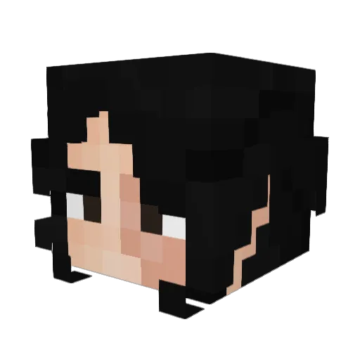 MarokkaanseGras Minecraft avatar head, 3D render