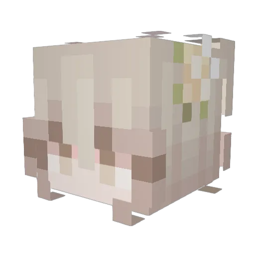Maron0808 Minecraft avatar head, 3D render