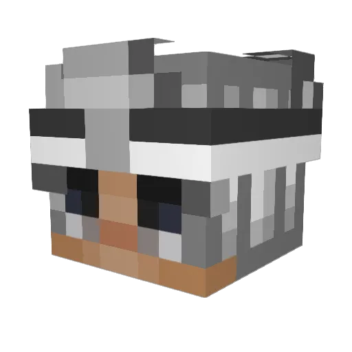 Marquinhossy Minecraft avatar head, 3D render