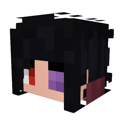 MarraToast Minecraft avatar head, 3D render