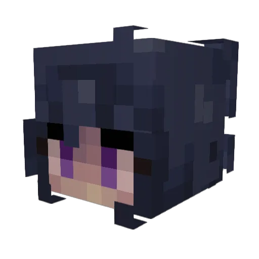 MarrowofStars Minecraft avatar head, 3D render