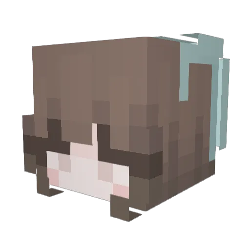 MarsChester Minecraft avatar head, 3D render