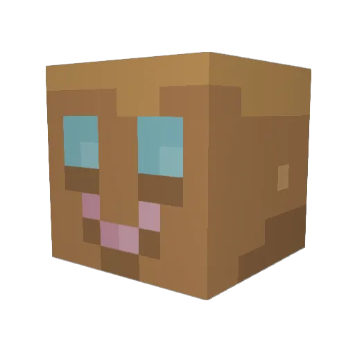MarsCubs Minecraft avatar head, 3D render
