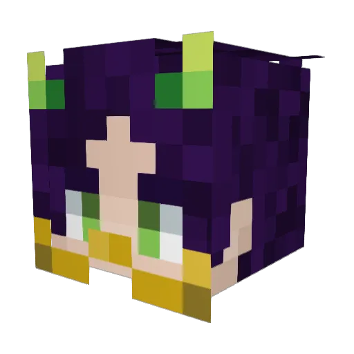 MarsIsHere1269 Minecraft avatar head, 3D render