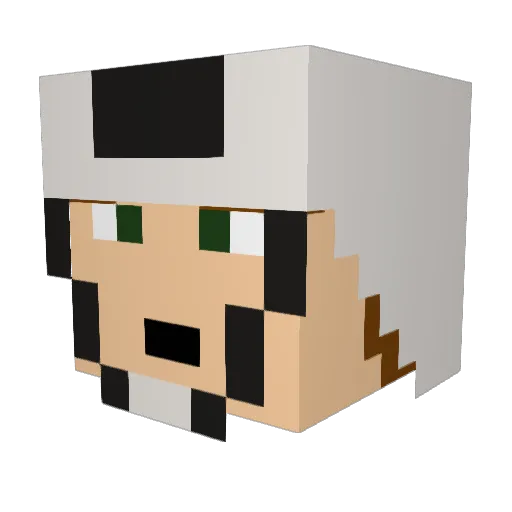 MarsProbe Minecraft avatar head, 3D render