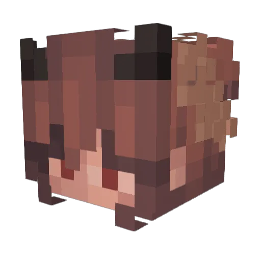 MarsShip Minecraft avatar head, 3D render