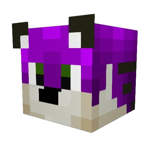 MarsTigger Minecraft avatar head, 3D render