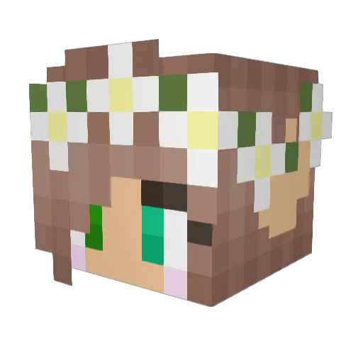 Marsh6 Minecraft avatar head, 3D render