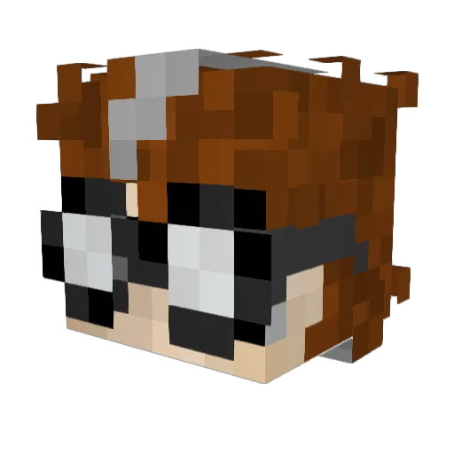 MarshalLaserBat Minecraft avatar head, 3D render