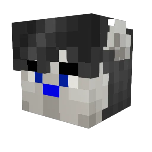 MarshallMink Minecraft avatar head, 3D render