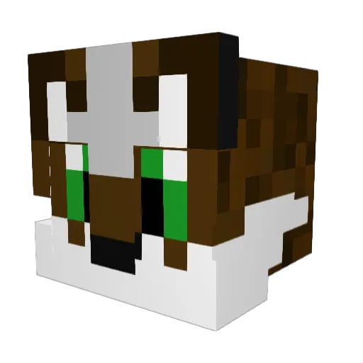 MarshallTheFox Minecraft avatar head, 3D render
