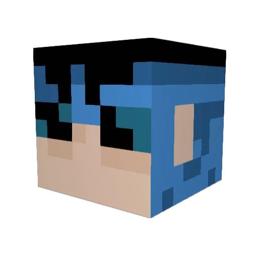 Marshi05 Minecraft avatar head, 3D render