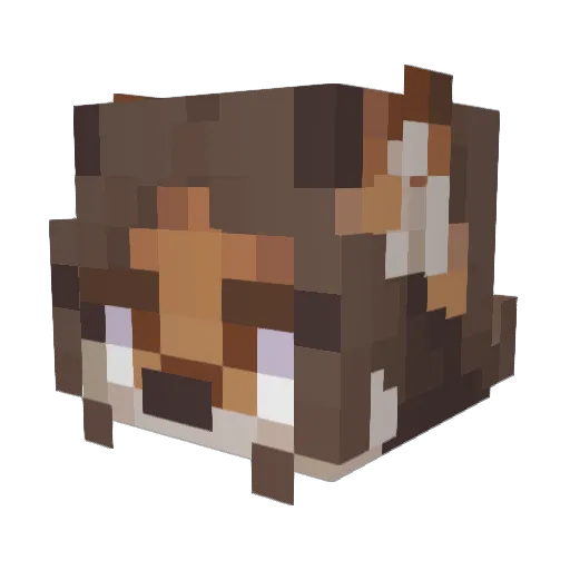 Marshmallow2005 Minecraft avatar head, 3D render