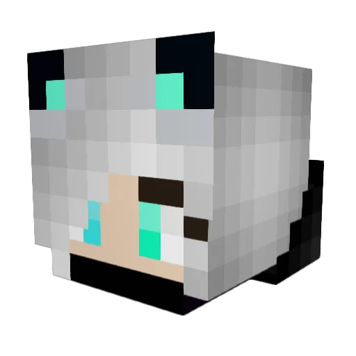 MarshmelloDC420 Minecraft avatar head, 3D render