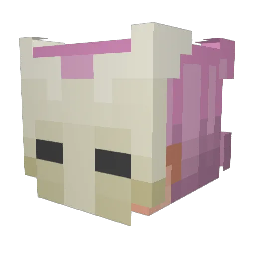 MarshyofMallows Minecraft avatar head, 3D render