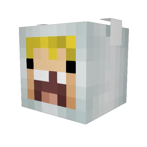 Marsioe85 Minecraft avatar head, 3D render