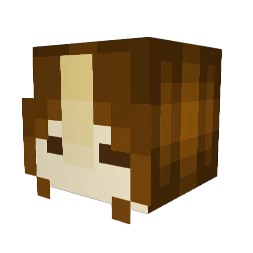 MarsityTV Minecraft avatar head, 3D render