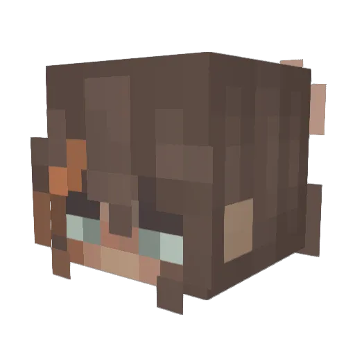 Marssbarrs Minecraft avatar head, 3D render