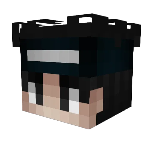 Marsupilami_j Minecraft avatar head, 3D render