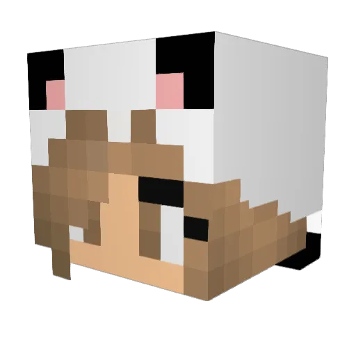 Martex_L Minecraft avatar head, 3D render