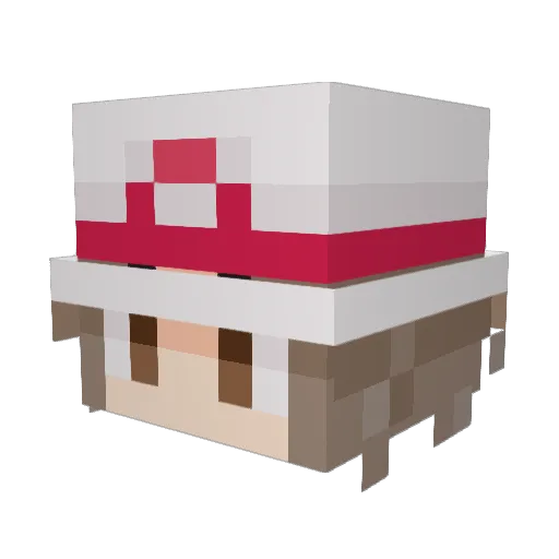 Martian_Orphan Minecraft avatar head, 3D render