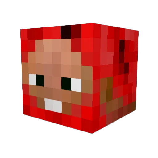 Marticus_ Minecraft avatar head, 3D render