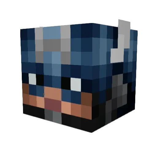 Martijn2004 Minecraft avatar head, 3D render
