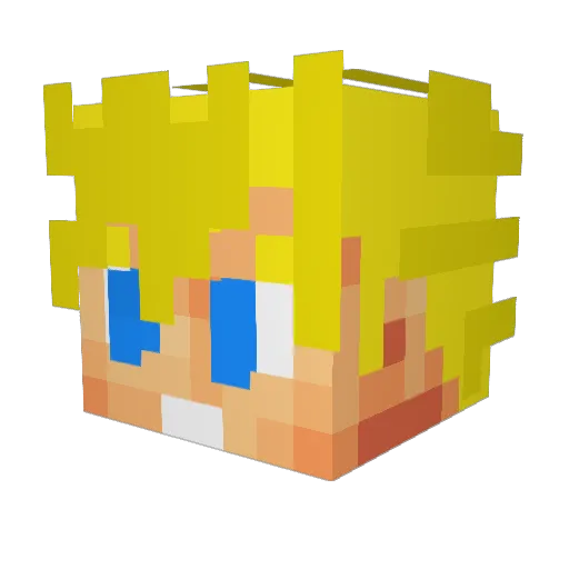 Martin1409 Minecraft avatar head, 3D render