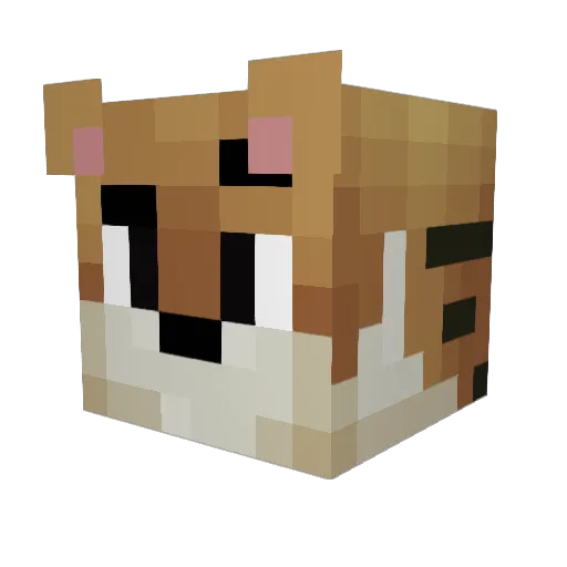 Martin457 Minecraft avatar head, 3D render