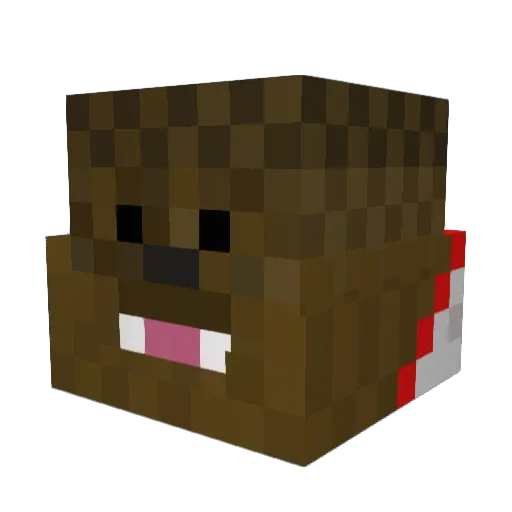Martin7247 Minecraft avatar head, 3D render