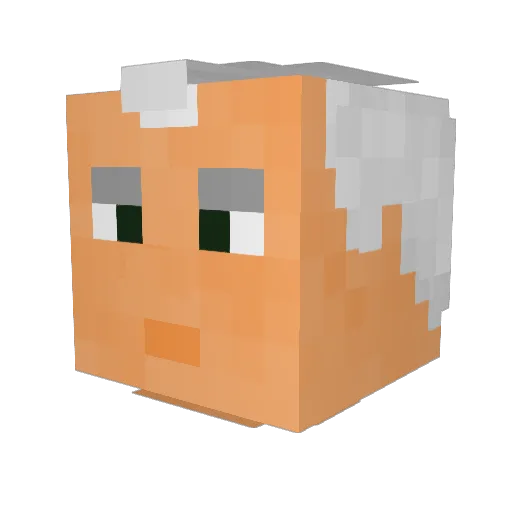 MartinKappaxd Minecraft avatar head, 3D render