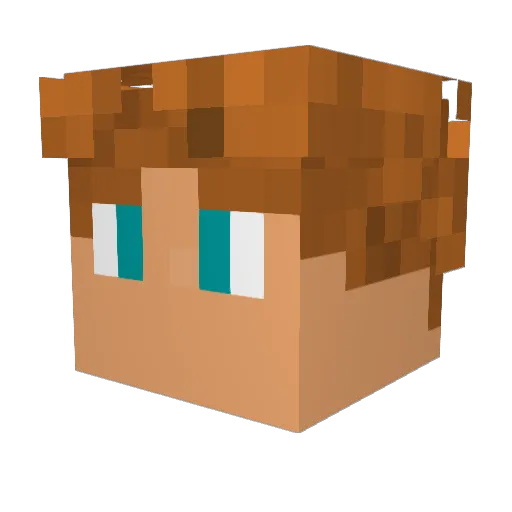 MartinStevenson Minecraft avatar head, 3D render
