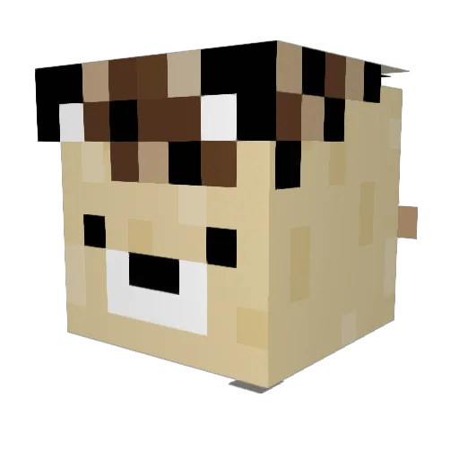 Martin_IGEL Minecraft avatar head, 3D render