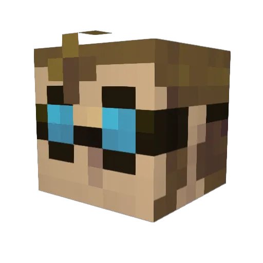 Martin_LP Minecraft avatar head, 3D render