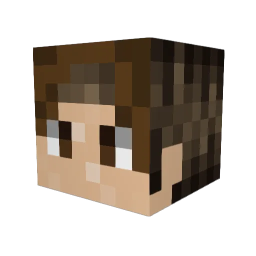 Martin_vole Minecraft avatar head, 3D render