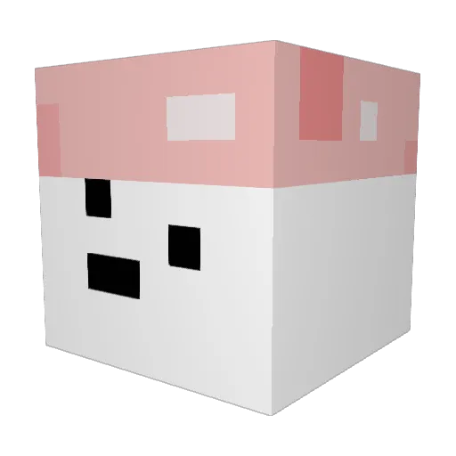 MartinaPan Minecraft avatar head, 3D render