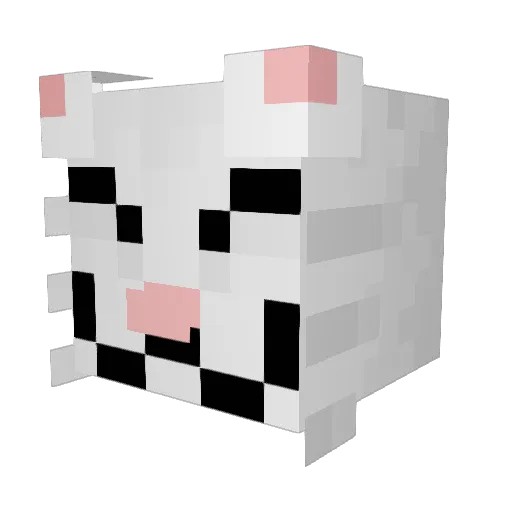 Martindemars245 Minecraft avatar head, 3D render