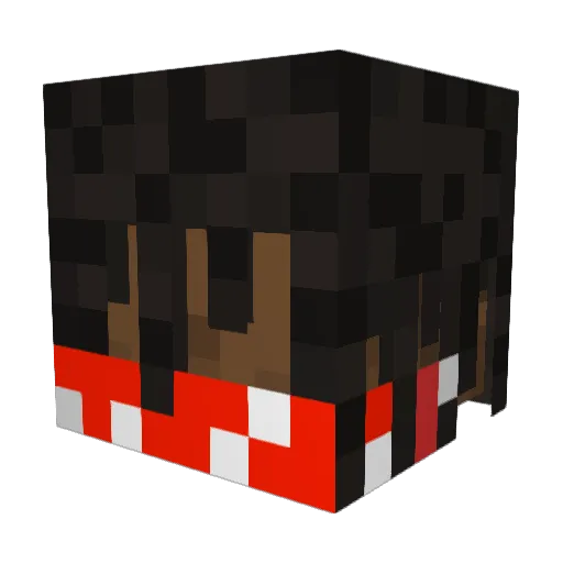 Martindrx Minecraft avatar head, 3D render