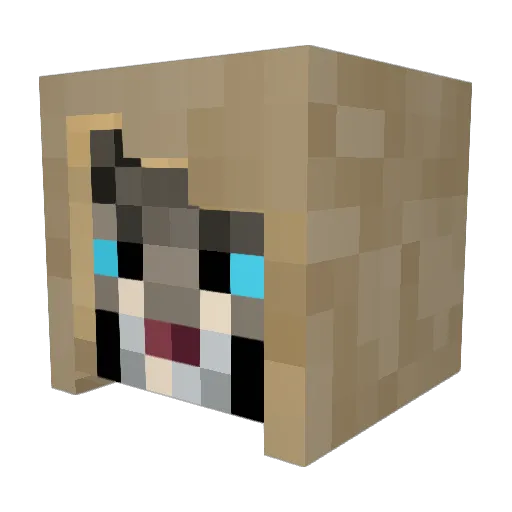 MartiniViking07 Minecraft avatar head, 3D render