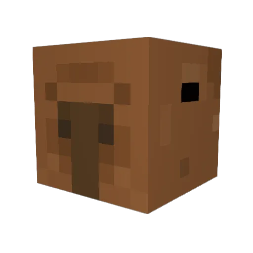 Martinoc20 Minecraft avatar head, 3D render