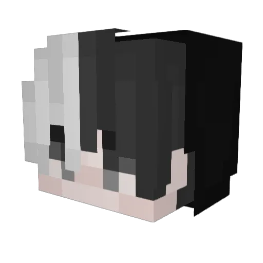 Martixx104 Minecraft avatar head, 3D render